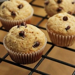 Chcolate Chip Muffins