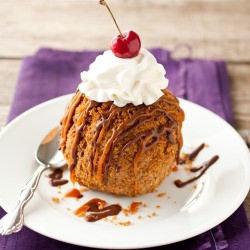 Cheaters Fried Ice Cream