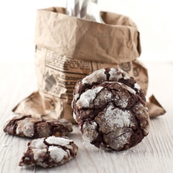 Double Chocolate Chip Cookies