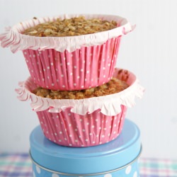 Oat and Apple Sauce Muffins