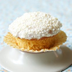 Vanilla Cupcakes