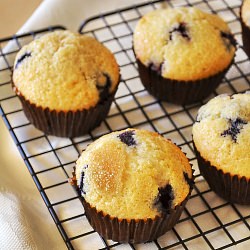 Blueberry Muffins