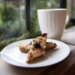 Fruit and Almond Florentine Bars