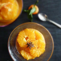 Panna Cotta