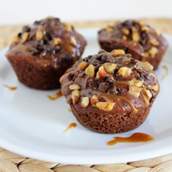 Turtle Muffins