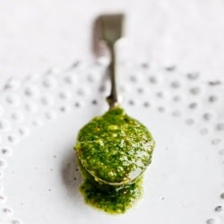 Sorrel Pesto