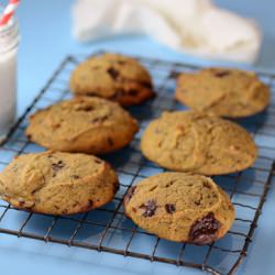 Paleo Chocolate Chip Scones