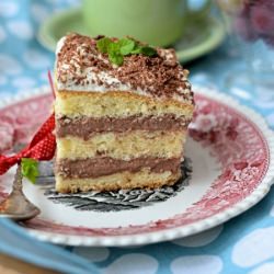 A Delicate Sponge Pudding