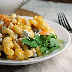 Butternut & Blue Cheese Cavatappi