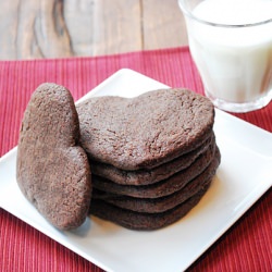Chocolate Sugar Cookies