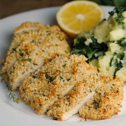 Mustard-Herb Panko Crusted Chicken