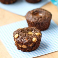 Fudgy Peanut Butter Chip Muffins