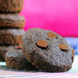 Chocolate-Chip Brownie Muffins