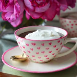 Rich Hot Chocolate