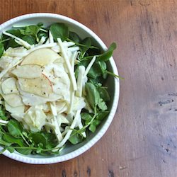 Shaved Fennel, Celery Root, Apples