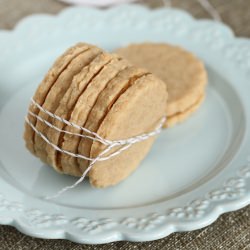 Speculoos Cookies