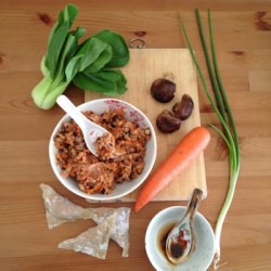 Recipe: Making Wontons