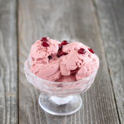 Pomegranate Frozen Yogurt