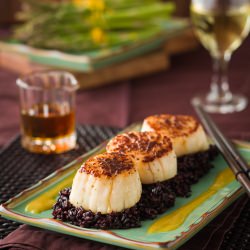 Seared Scallops-Orange Miso Sauce