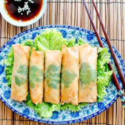 Chinese Vegetable Spring Rolls