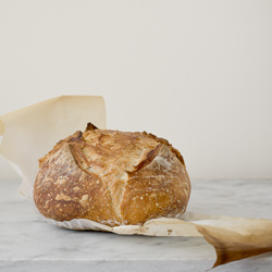 No Knead