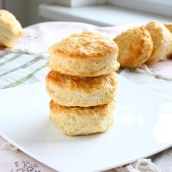 Plain Scones