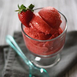 Strawberry Sorbet