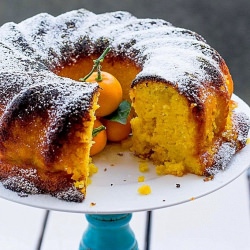 Orange & Kamquat Gluten Free Cake