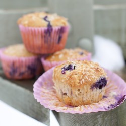 Blueberry, Coco and Choc Muffins