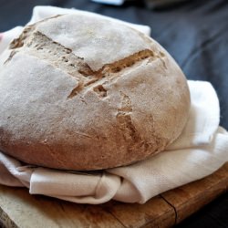 Whole Wheat Boule