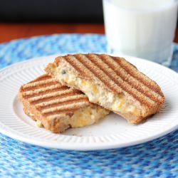 Tuna and Cheddar Panini Melt