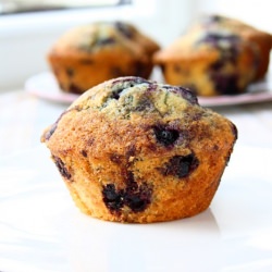 Blueberry Muffins