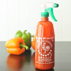 Spicy Coconut Almond Sauce
