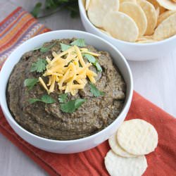 Spicy Black Bean Dip