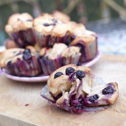 Blueberry Pull-Apart Buns