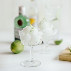 Gin and Tonic Sorbet