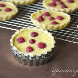 Raspberry Custard Tartlets