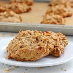 Peanut Butter Breakfast Bites