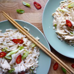 Chilli Coconut Chicken with Noodles