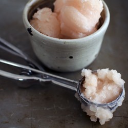 Grapefruit Sorbet