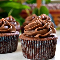 Double Chocolate Cupcakes