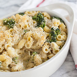 Chicken Divan Mac and Cheese