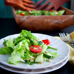 Living Salad with Sesame Dressing