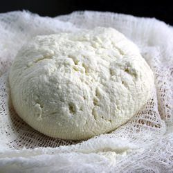Homemade Cheese