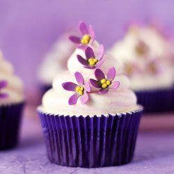 Violet Cupcakes