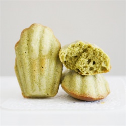 Matcha Madeleines