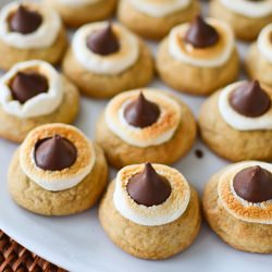 S’mores Blossoms
