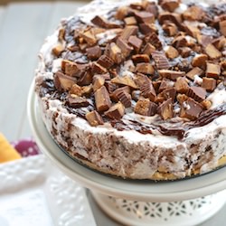Moose Tracks Ice Cream Cake