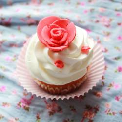 Vanilla Cupcakes
