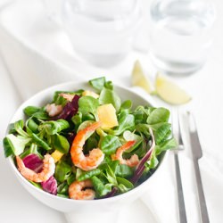 Mango and Prawns Salad